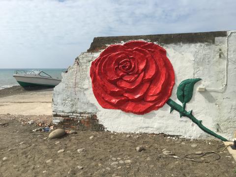 提供edius服務的專家Mandy 