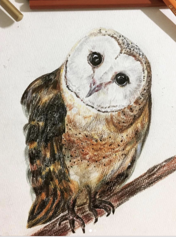 提供帆布服務的專家vernaswork