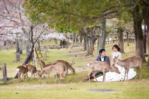 1985影像創作工作室 - 