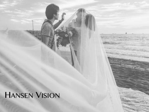 Hansen Vision - 工作實況紀實