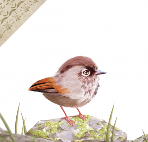 一顆蛋黃 - 插畫包含各種寫實、水彩、可愛、CG各種都有也可以進一步議論喜歡的風格在合作