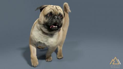 崛影數位特效股份有限公司 - 3DCG-巴哥犬
http://risingcloud.myqnapcloud.com/web/framy/