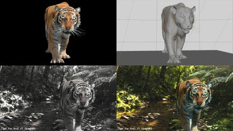 崛影數位特效股份有限公司 - 3DCG-老虎