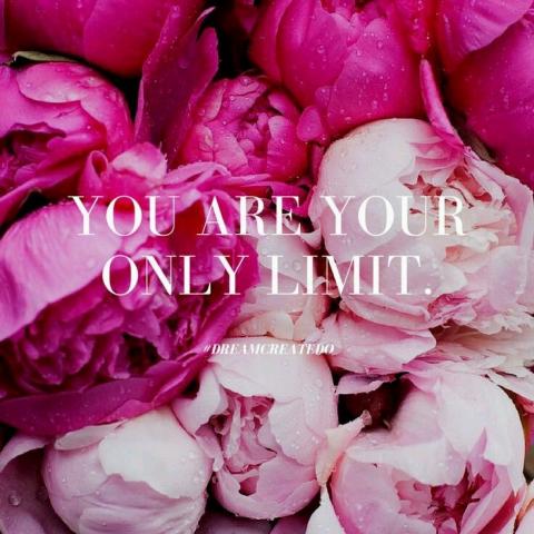 提供營養師服務的專家醣而皇之