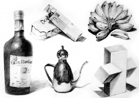 Jasmine - 個體描繪