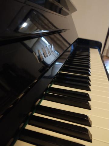 提供受眾包服務的專家王辰毓