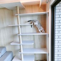 永固麗室內裝潢設計有限公司 - 劃平台,將跳台架設在窗邊,設計窗台睡床、站板,或是直接將貓屋放在窗邊,打造宛如戶外的室內空間,讓貓咪欣賞風景,光線也自然流入室內。 永固麗室內裝潢設計有限公司 - 劃平台,將跳台架設在窗邊,設計窗台睡床、站板,或是直接將貓屋放在窗邊,打造宛如戶外的室內空間,讓貓咪欣賞風景,光線也自然流入室內。