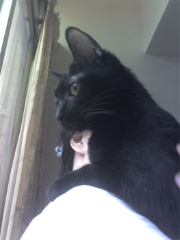 提供125服務的專家王宇稜