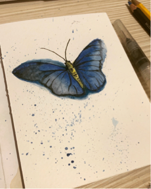 《Mr.D原創手繪》 - 水彩蝶