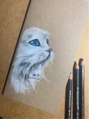 《Mr.D原創手繪》 - 手繪TN封面