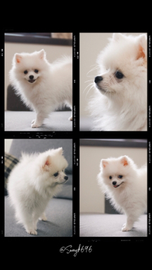 Swayk696攝影接案 - 作品集參考