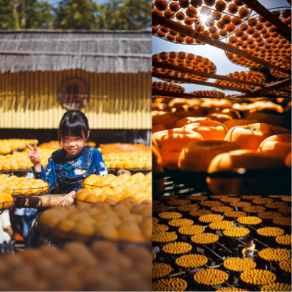 Swayk696攝影接案 - 作品集參考