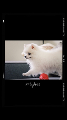 Swayk696攝影接案 - 作品集參考