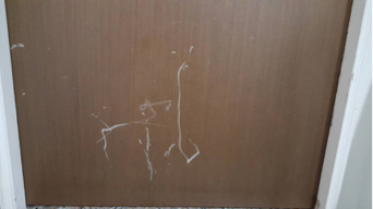 宸恩油漆整修工程 - 木門刮痕修復