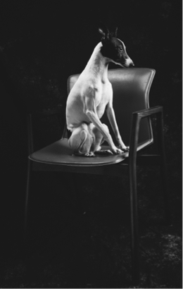 Matt Aslan Photography -  Matt Aslan Photography -