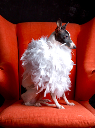 Matt Aslan Photography -  Matt Aslan Photography -