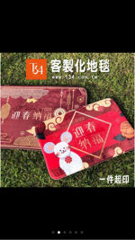 陳似蘋 - 地墊地毯