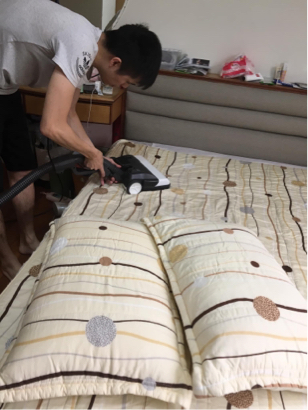 德國海豚塵蟎清潔 - 