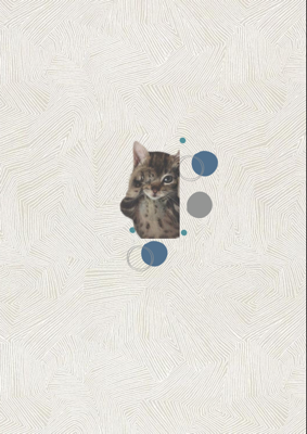 傑米股份有限公司 - 自製精美桌布