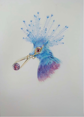 Amber - 色鉛筆、鳥、意象結合