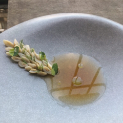 Troy&rsquo;s - 關於回家 嗯，竹蛤 還有剝皮辣椒
About home: tsukudani and skin off chili

#razorclams #tsukudani 
#pickledginger 
#skinoffpickledchilibroth
#dilloil 

簡單的瓦斯台上，雪平鍋裡燒熱了醬油、水，在不斷冒起的泡泡開始造亂翻騰前續入糖，撫平躁動，等待溶解。燒起另一鍋水，在沸騰時，丟入青色辣椒，三十秒，濾起，泡冰水；刀刃劃開冰鎮後的辣椒，去蒂、除籽，然後泡進冷卻的醬油糖水裡。

嗯，沒有四季的城