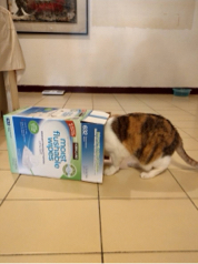 羅佑中 - 在找啥?