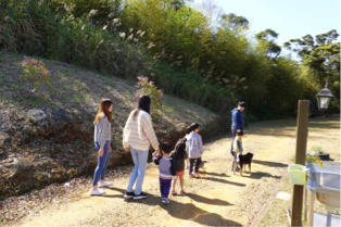 芮莎姐姐 伴讀/保母 - 