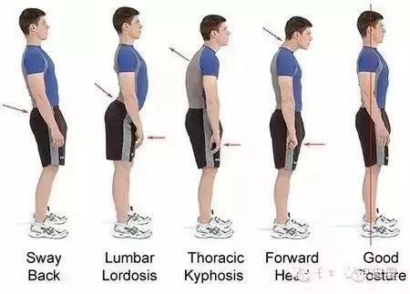 Fossil 健身教練 桃園｜新北｜台北 - 體態調整