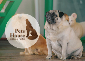 蘭茵設計工作室 -  蘭茵設計工作室 -