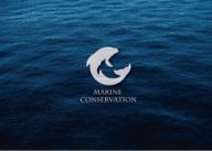 蘭茵設計工作室 -  蘭茵設計工作室 -