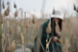 風雅居 - 臺中高美濕地人像攝影-2