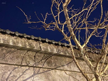 風雅居 - 臺北華山文創園區風情-1