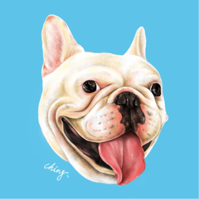 Ching.art - 電繪-寵物寫實畫像