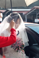 Cynthia Chen Photography  - 