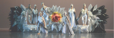 Ed fashion design  - 