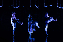 Ed fashion design  - 