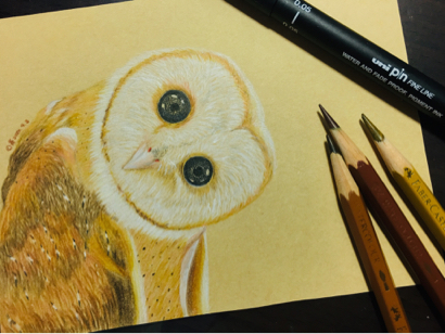 家菁 - 倉鴞 色鉛筆、代針筆