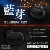 黃心怡 - 藍芽耳機DM