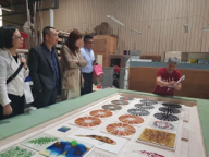 東和玻璃美學 - 