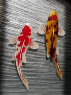 東和玻璃美學 - 