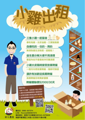 蘇菲亞設計工作室 - 姐夫農場形象宣傳DM｜以農場主人及兒子作為主要人物形象，以及小雞出租的主角「三種雞種」搭配結合，小雞出租字樣更結合了孵蛋用的乾草，讓農場主人一看到便非常喜愛，且達到農場主人喜歡的溫度感。