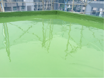 羽耀實業有限公司 -  手工聚脲15秒速乾