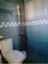 拓暘工程有限公司 - 太平永成北路-居家新建