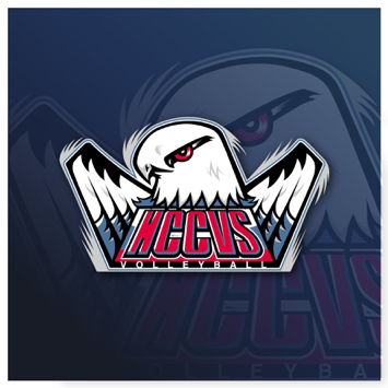 YUstudio - 隊徽設計