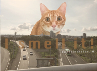 簡怡玲 - ps合成