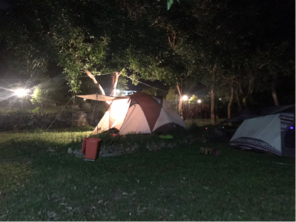 松楨有限公司 - 