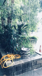 潘語瑄 - 母校局部攝影