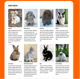 靜靜工作室 - 個人博客