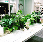 溫室簡單設計工作室 - 記者會場佈置