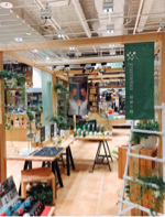 溫室簡單設計工作室 - 短期快閃店設計佈置